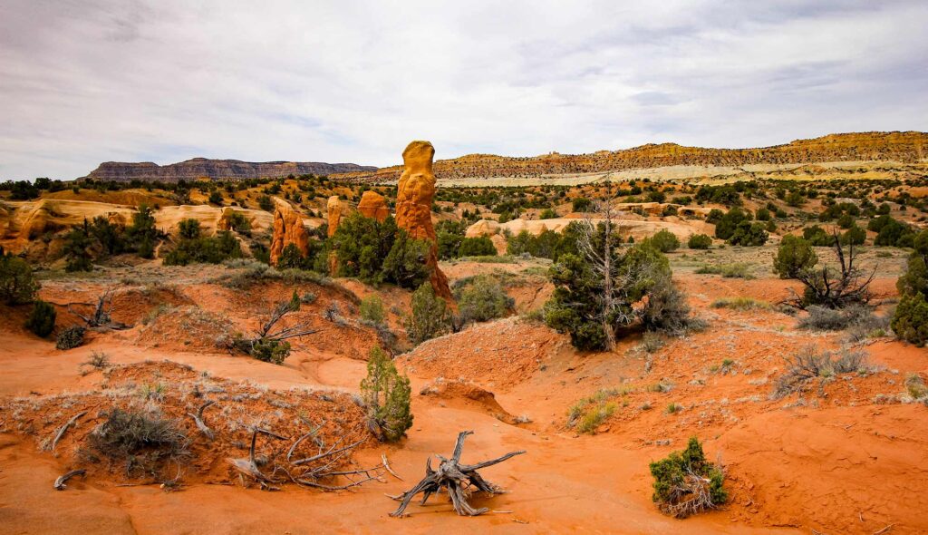 Red rock desert landscape near Escalante Utah with sandstone formations