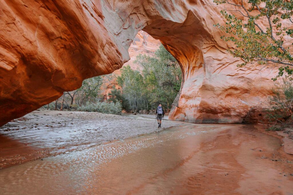 Hiker walking through a canyon stream beneath a massive sandstone arch near Escalante Utah
