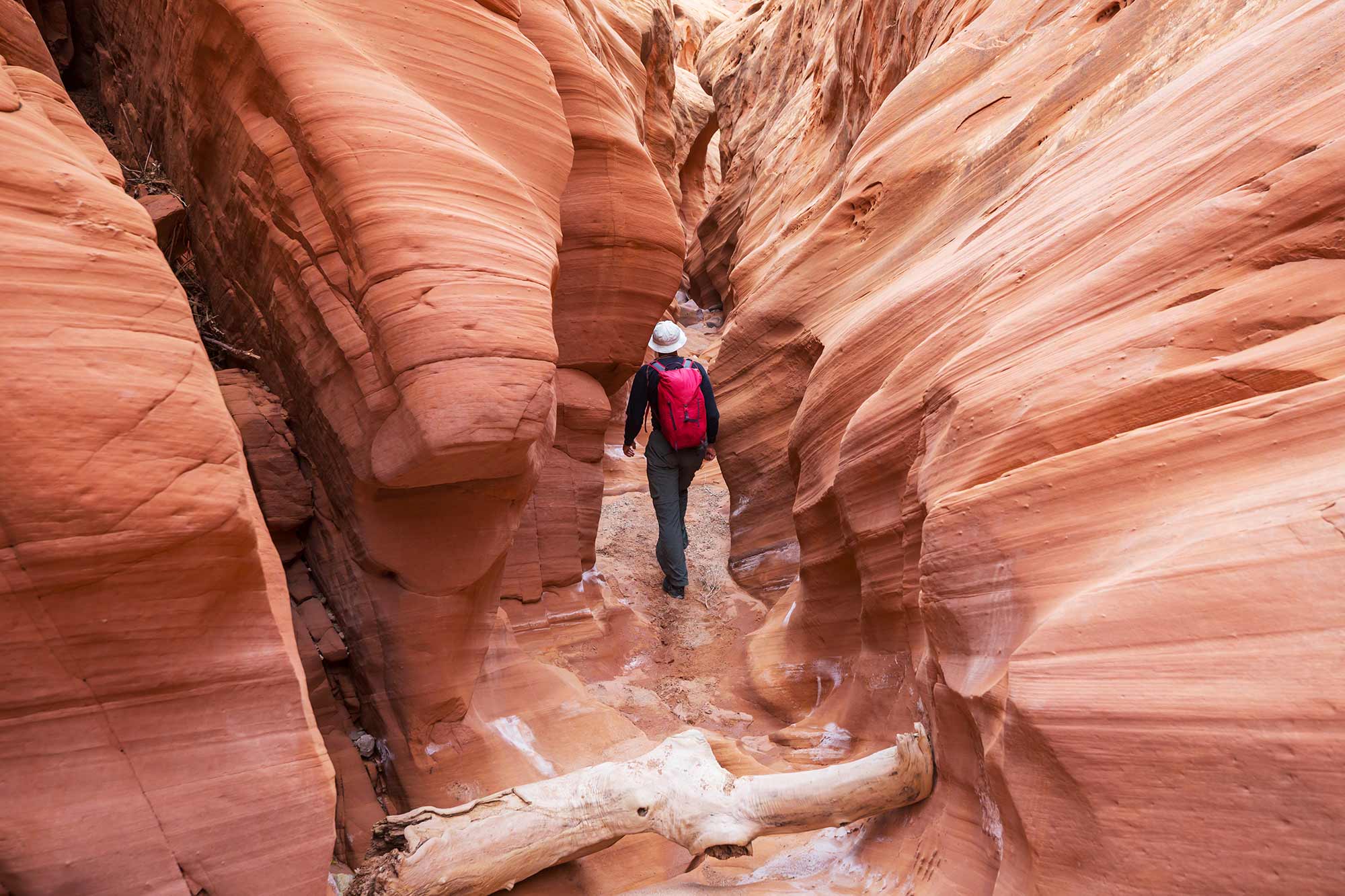 Slot-canyon-in-Grand-Staircase-Escalante-National-park