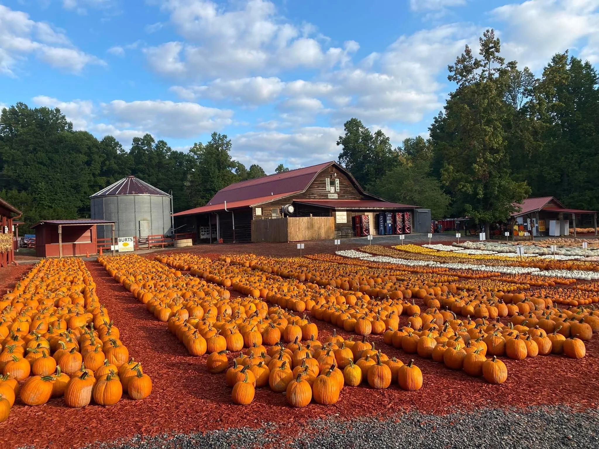 Best Pumpkin Patches Near Chattanooga