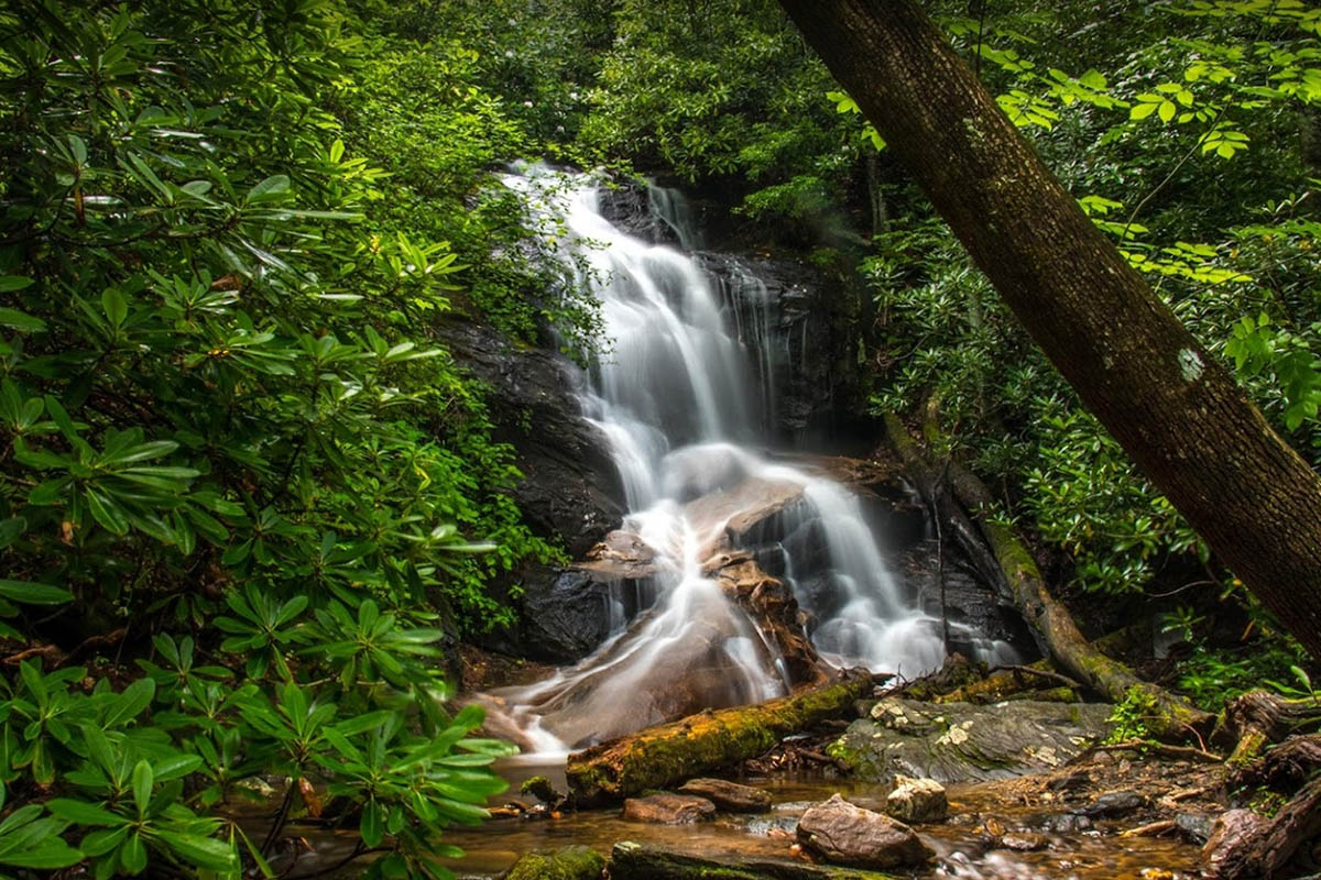 Log Hollow Falls cascading through lush green forest along the Blue Ridge Parkway