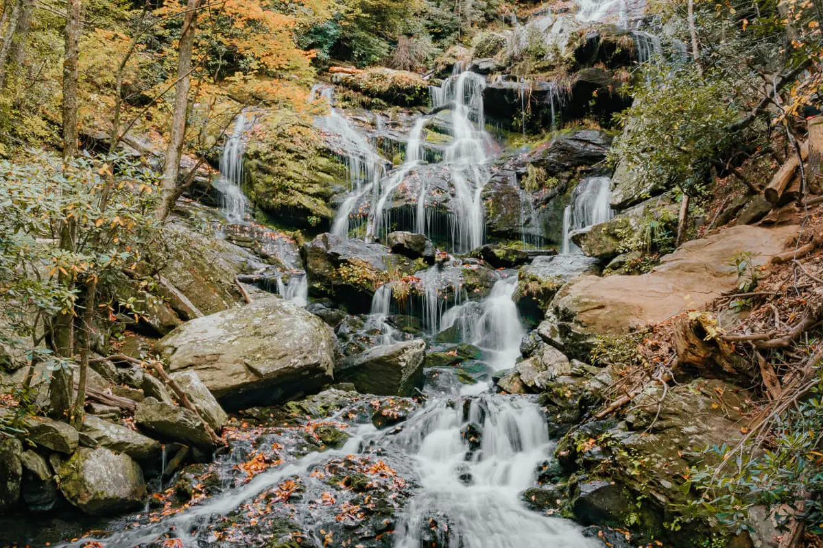 Catawba Falls cascading over mossy rocks in a forested mountain setting