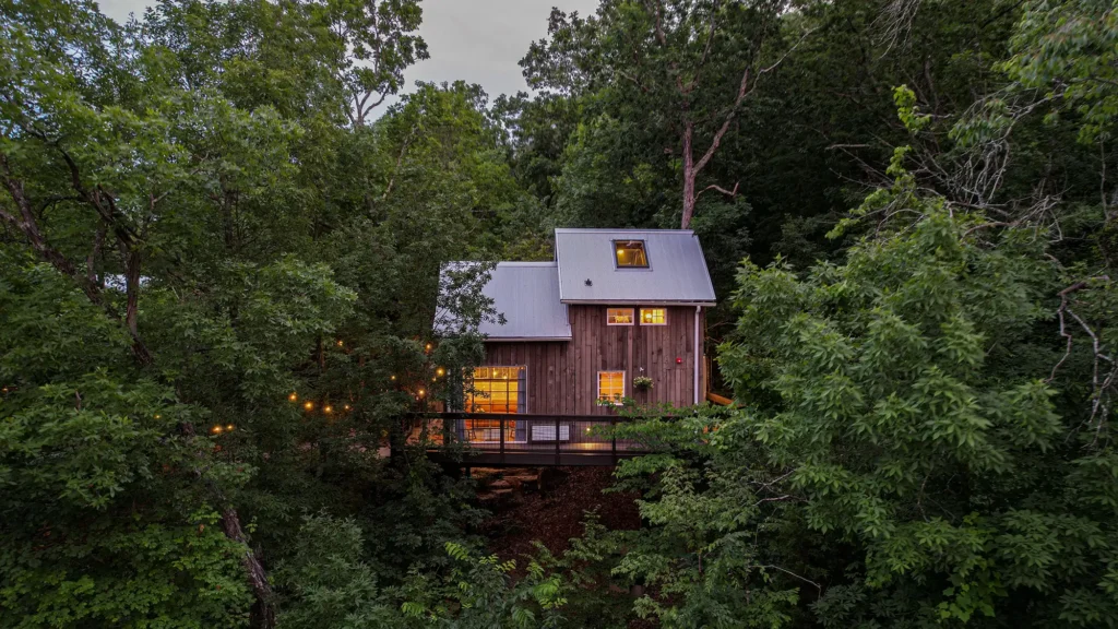 Treehouse cabin nestled in the forest surrounded by trees at dusk