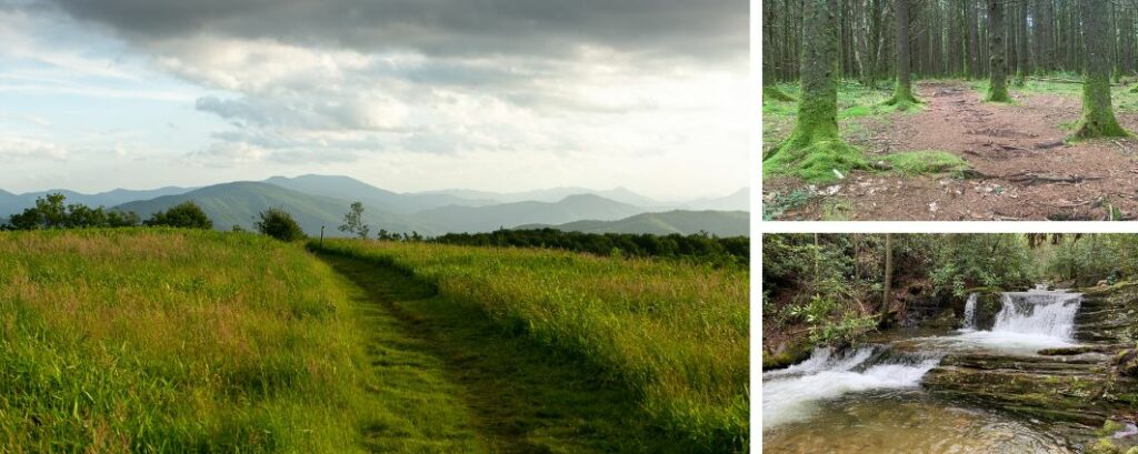 Open meadow and mountain views in the Unicoi Mountains