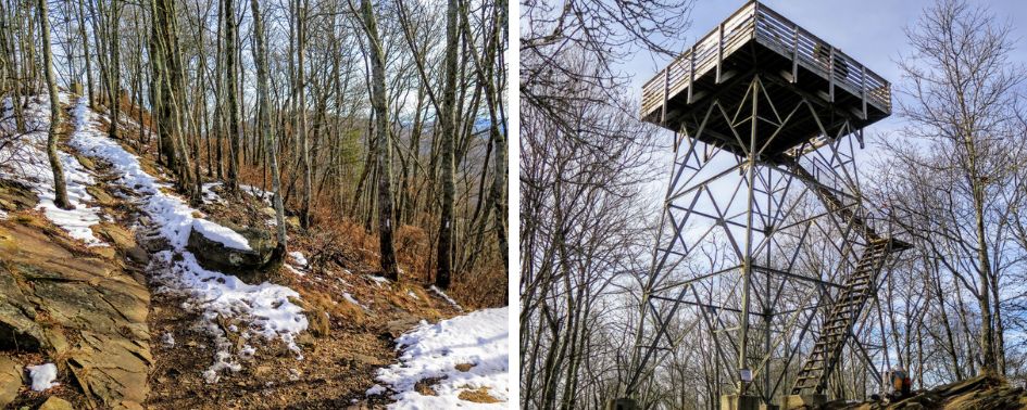 Snow-dusted forest trail along Wesser Creek.