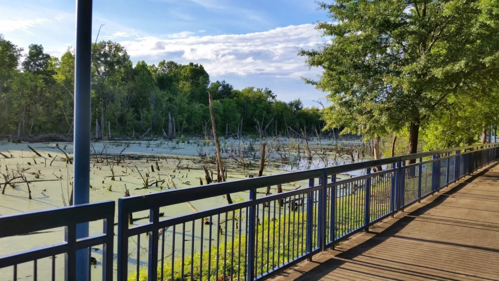 Chattanooga Riverwalk boardwalk overlooking wetlands and forest