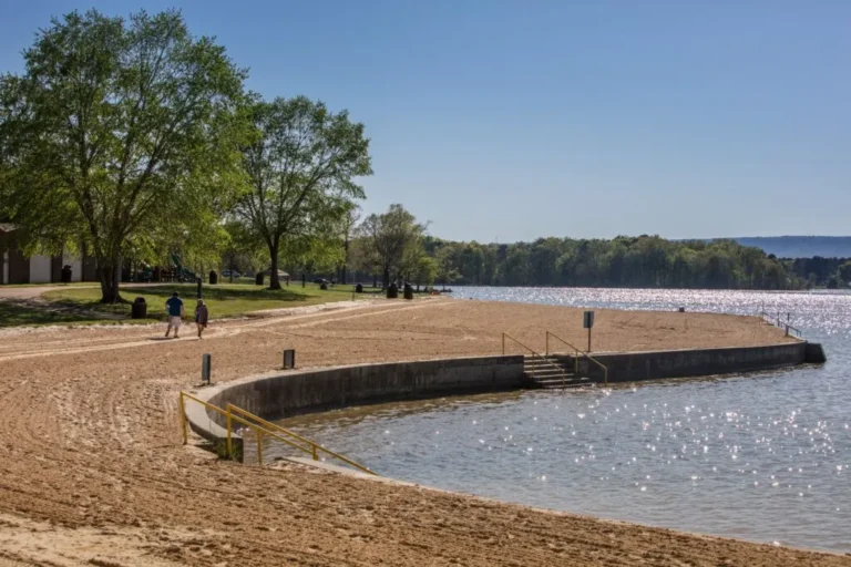 the waterfront at chester frost park