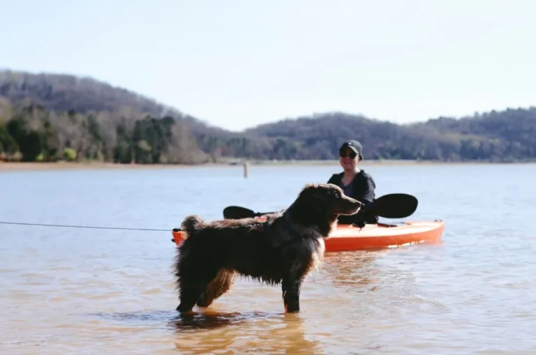 a dog and his owner in a kayak