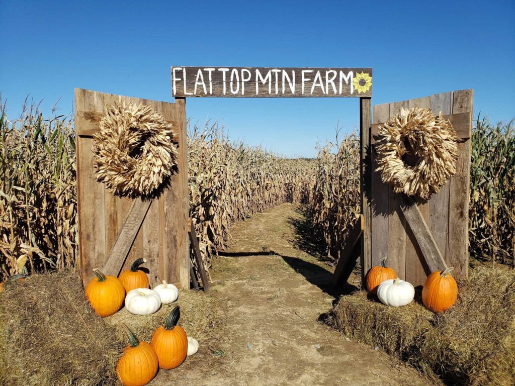 Flat Top Mountain Farm pumpkin patch entrance in Soddy-Daisy Tennessee.