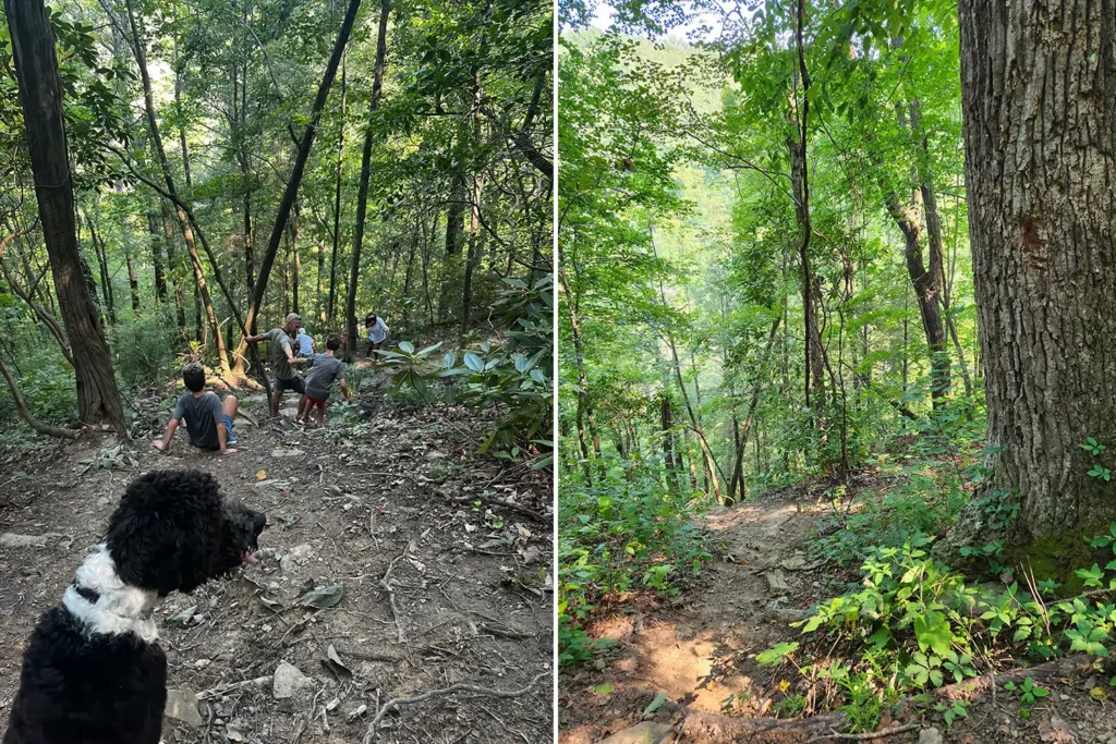 Hikers on the Signal Point trailhead path surrounded by forest on Signal Mountain