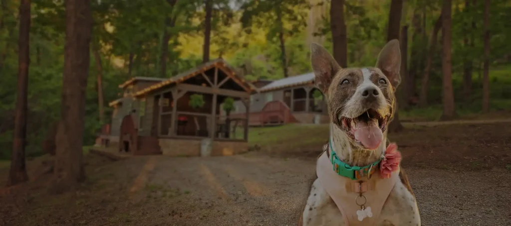 Happy dog in front of a pet-friendly cabin in the woods near Chattanooga, Tennessee