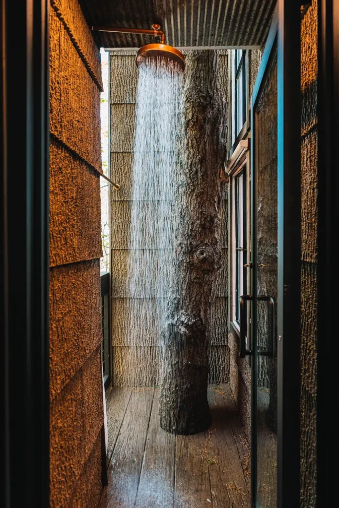Outdoor shower built around a tree trunk at a forest treehouse retreat
