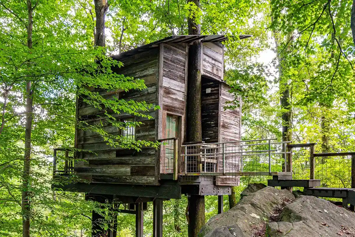 Treetop Hideaways
