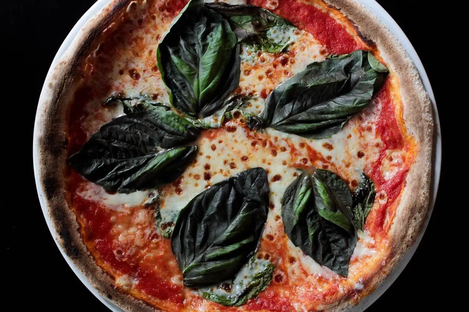 649da1120f97b79ca4ab7002 649c91125e029a280d166ecd 640b75cfe5569e66e75e35ec 64091efe3e34c2d1d9b31b53 alleia itallian restaurant chattanooga 1500x1000 1