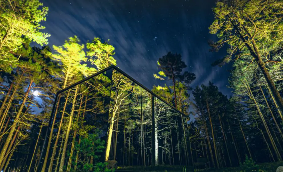 64e91ee87ca3d3334a2dbee0 OOD sammple image