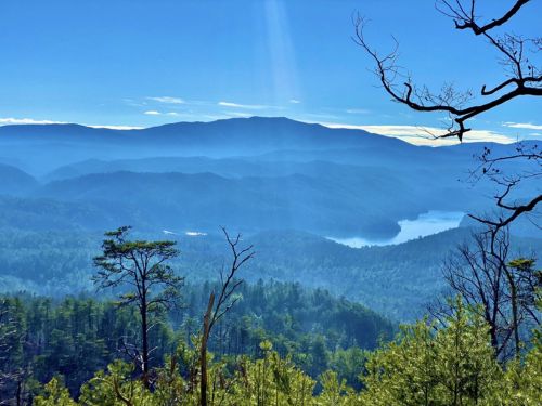 6529795e3d74b5465ac6cb9c clemmer slick rock clear creek loop ocoee tennessee