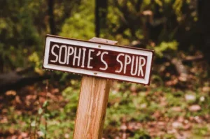 65299a6cd43fb92567633ce0 sophies spur property trail wauhatchie woodlands p 500