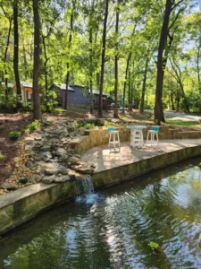 65397a5cc8de24acbcdcd81f gold fish pond timberroot rustic retreats chattanooga tennessee p 500