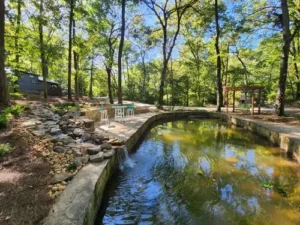 65397a5d518fb7124f589056 gold fish pond at wauhatchie woodlands chattanooga tennessee p 500